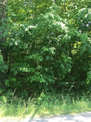 LOT 10, LEACH RD. ROAD, ESPYVILLE, PA 16424 - Image 1